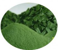 Spirulina en polvo, x 50 grs.